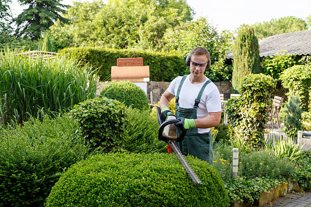 Best Leaf Removal  in Lebanon, OH